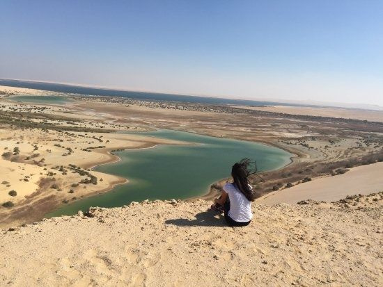Excursión a Wadi Al Hitan y el oasis de Fayum desde El Cairo