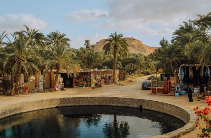 Tour de 3 días al oasis de Siwa y Alejandría desde El Cairo