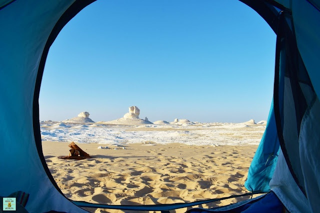 Tours de safari por el desierto desde Hurghada