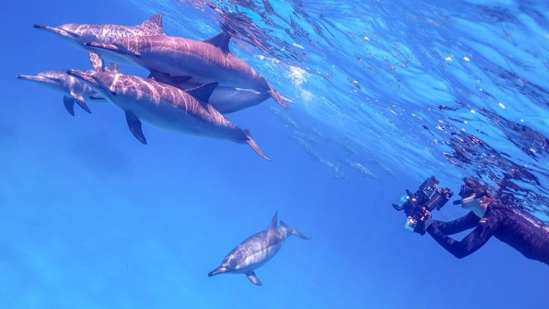 Activités à faire à Marsa Alam