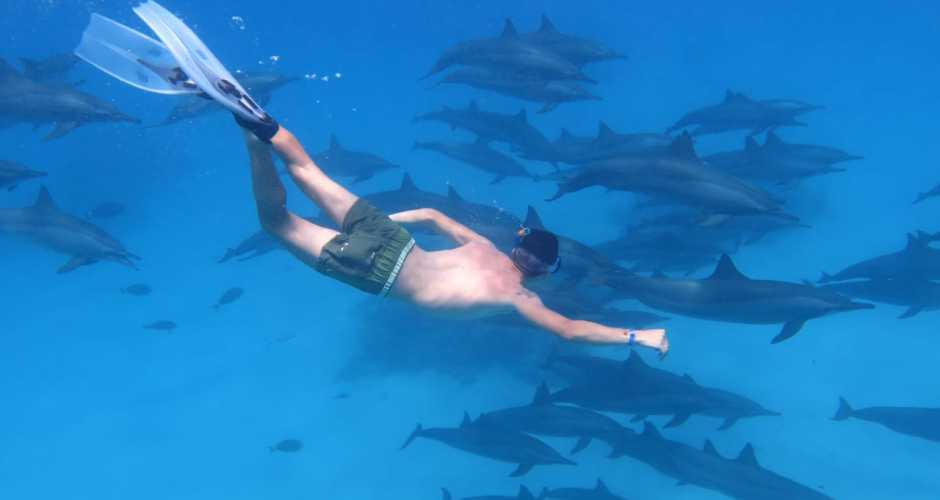Activités à faire à Marsa Alam
