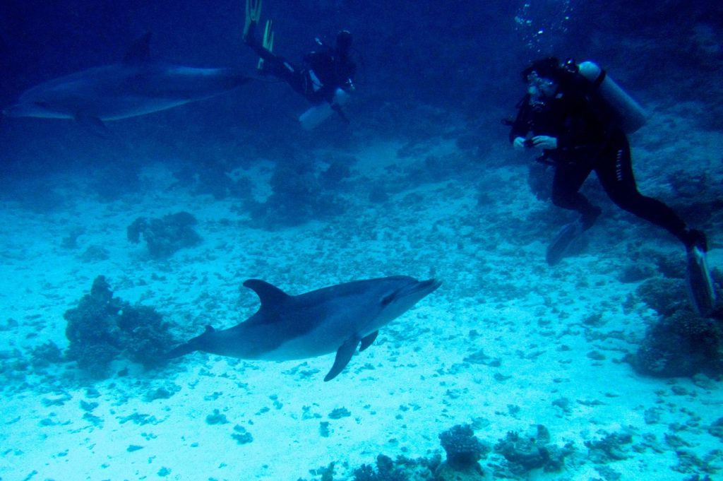 Activités à faire à Marsa Alam