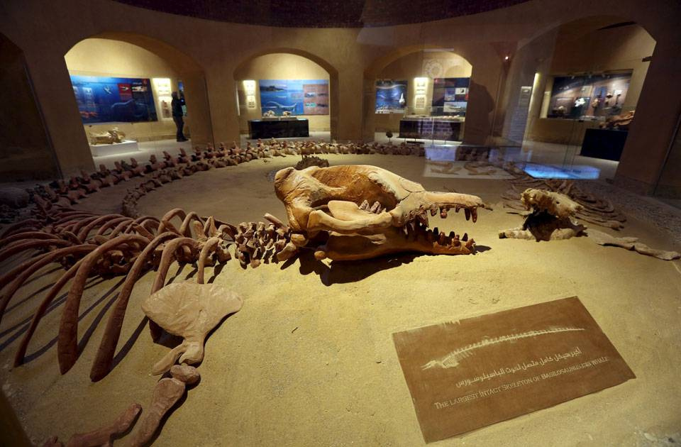 Excursion de 3 jours à loasis de Fayoum depuis le Caire
