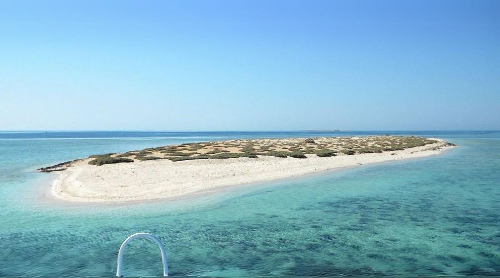 Excursion en bateau privé vers l'île de Hamata depuis Marsa Alam Excursion en bateau privé vers lîle de Hamata depuis Marsa Alam