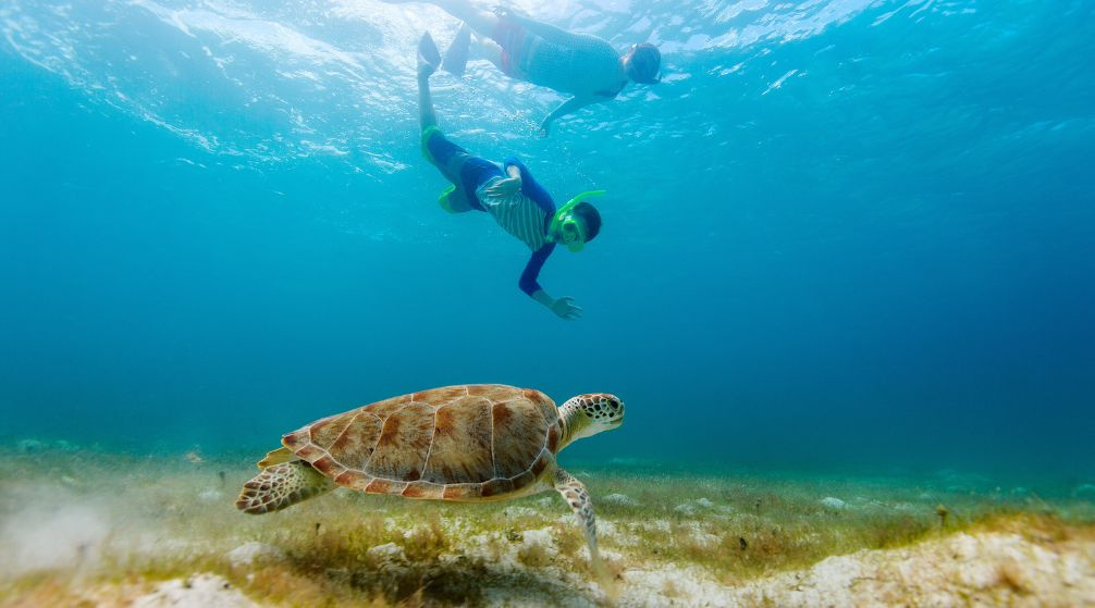 Excursion en bateau privé vers l'île de Hamata depuis Marsa Alam Excursion en bateau privé vers lîle de Hamata depuis Marsa Alam