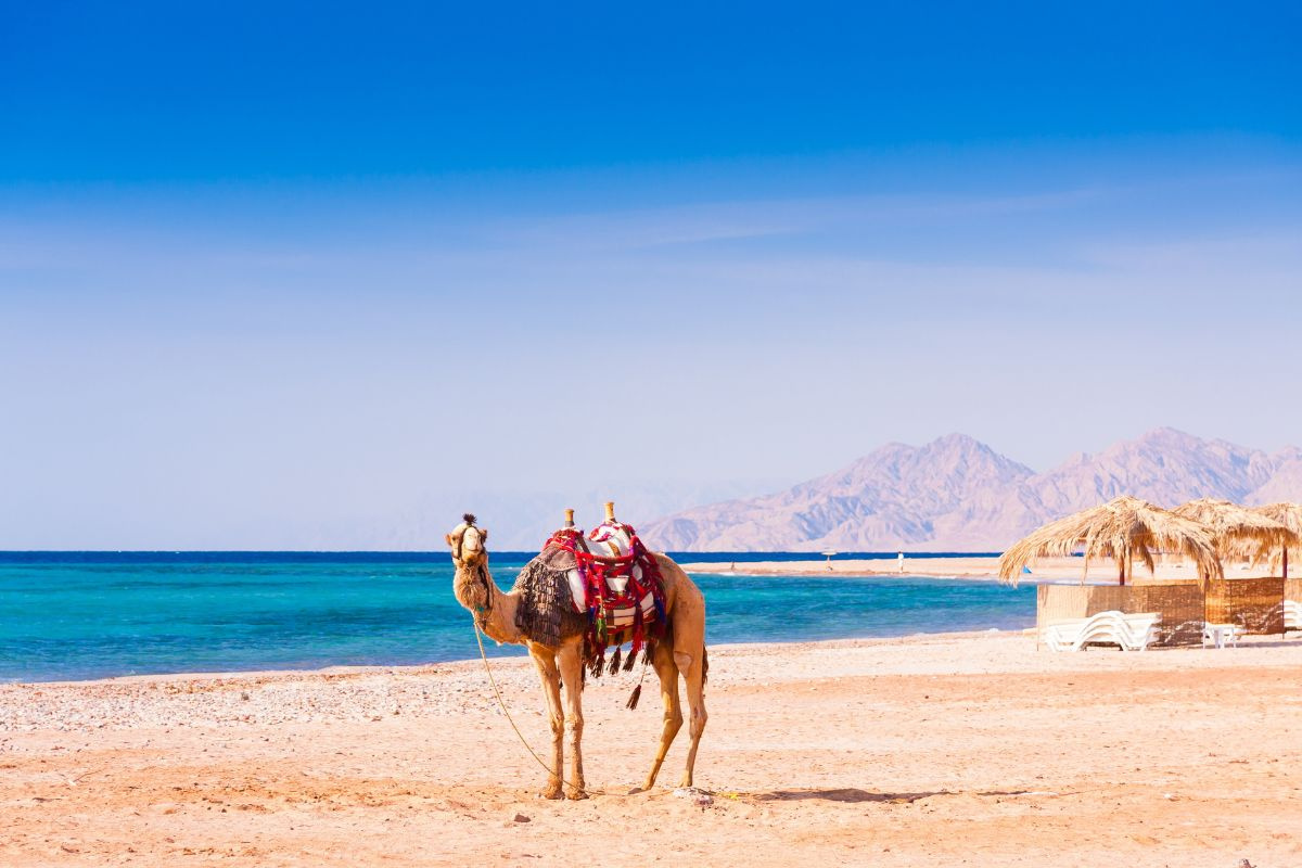 Forfaits lune de miel en Égypte