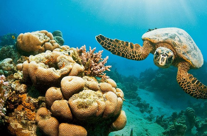 Forfaits touristiques à Marsa Alam