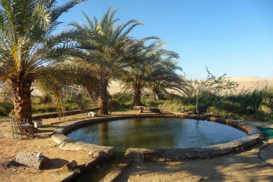 Itinéraire de 10 jours en Égypte oasis de Siwa et croisière sur le Nil