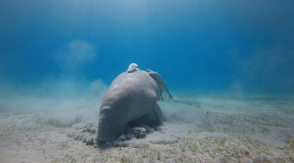 Excursion privée au Caire depuis Marsa Alam en avion Voyage au Caire depuis Marsa Alam en avion