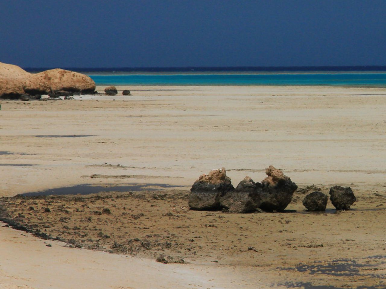 Excursion snorkeling à Sharm el Lulli et wadi El Qulaan depuis Marsa Alam