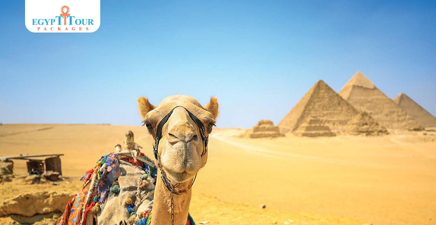 The Best Egypt Itinerary 9 Days | Egypt Tour Packages 