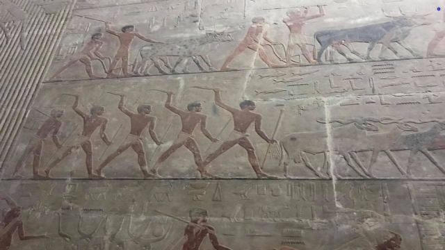 Escursione alle Piramidi di Sakkara e Dahshur