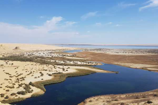 Itinerario di 16 giorni nel deserto dellEgitto