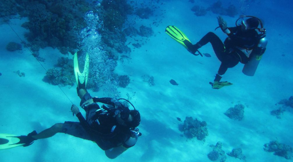 Snorkeling con le tartarughe marine Marsa Mubarak da Marsa Alam