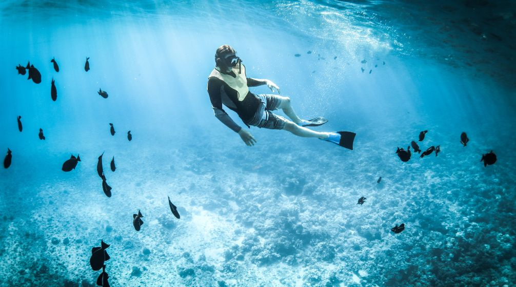 Snorkeling con le tartarughe marine Marsa Mubarak da Marsa Alam