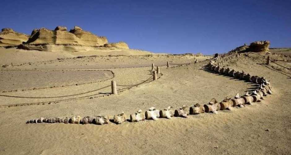 4 daagse reis door Egypte: de piramides en de Walvisvallei