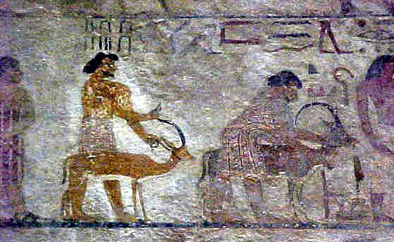 4 daagse reis naar Wadi El Hitan en El Minya met afzetten in Luxor 4 daagse reis naar Wadi El Hitan en El Minya met afzetten in Luxor