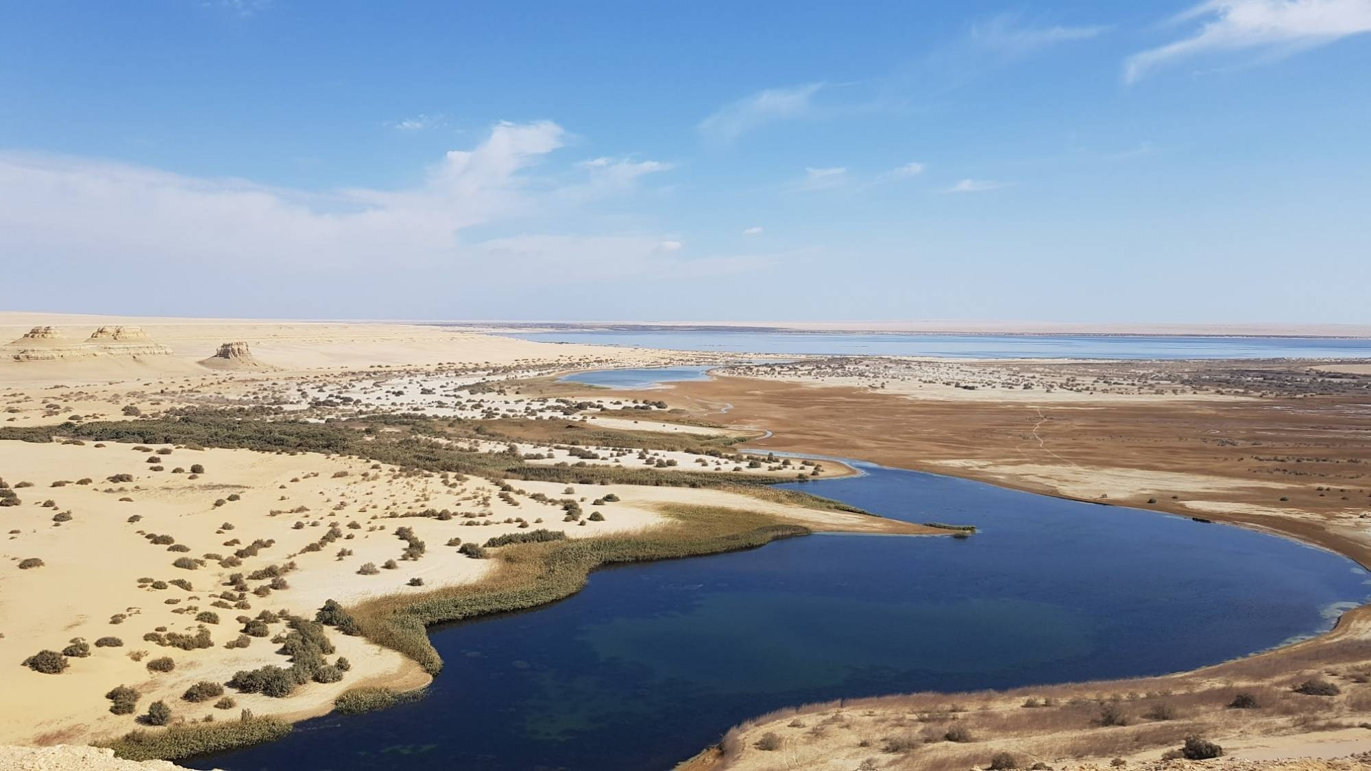 4 daagse tour naar de witte woestijn en Wadi el Hitan vanuit Caïro
