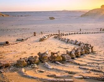 5 daagse reisroute door Egypte voor Caïro