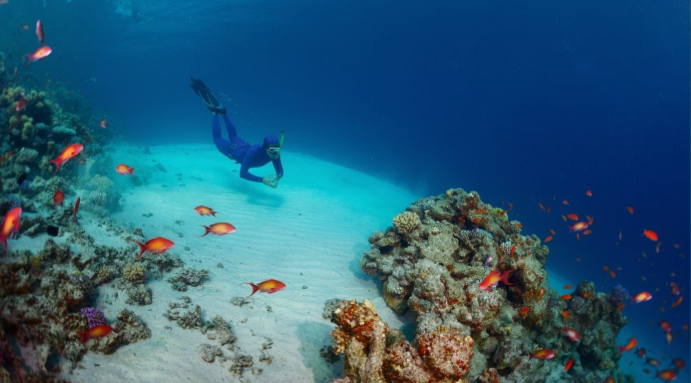 Duiken Dagtrip vanuit Hurghada