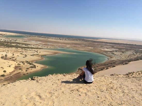 Excursie naar Wadi Al Hitan en Fayoum Oasis vanuit Caïro