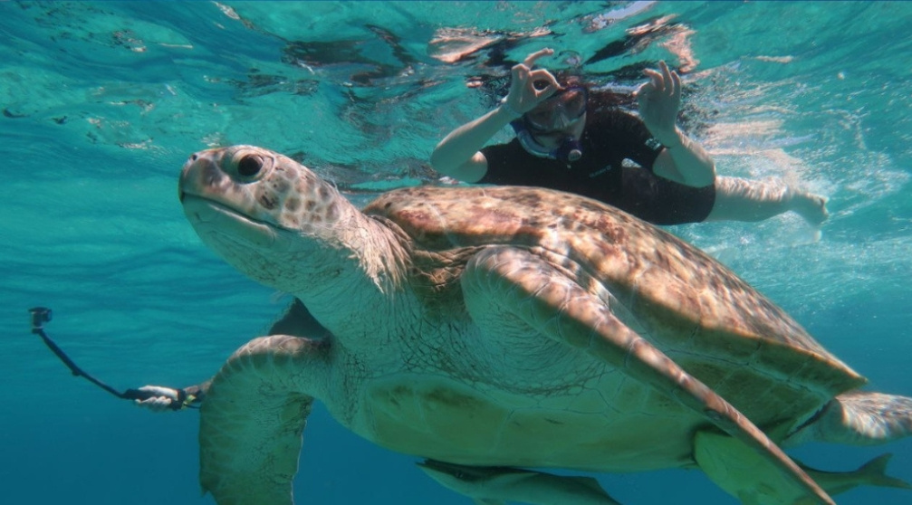 Snorkelen bij Mahmya Island in Hurghada