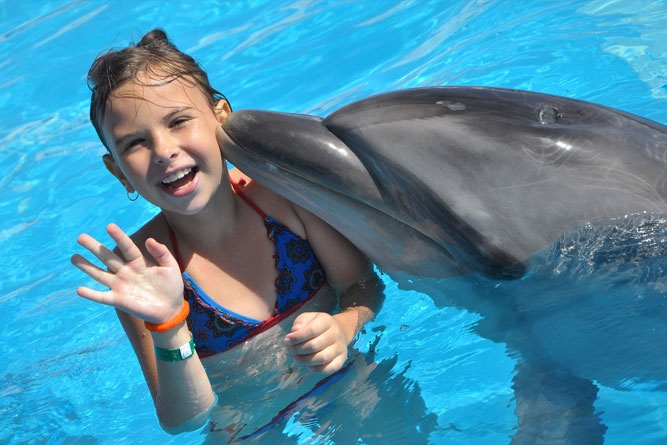 Zwem met dolfijnen Makadi