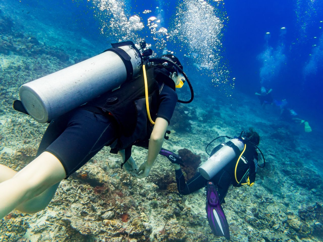 Marsa Mubarak Snorkeltrip vanuit El Quseir