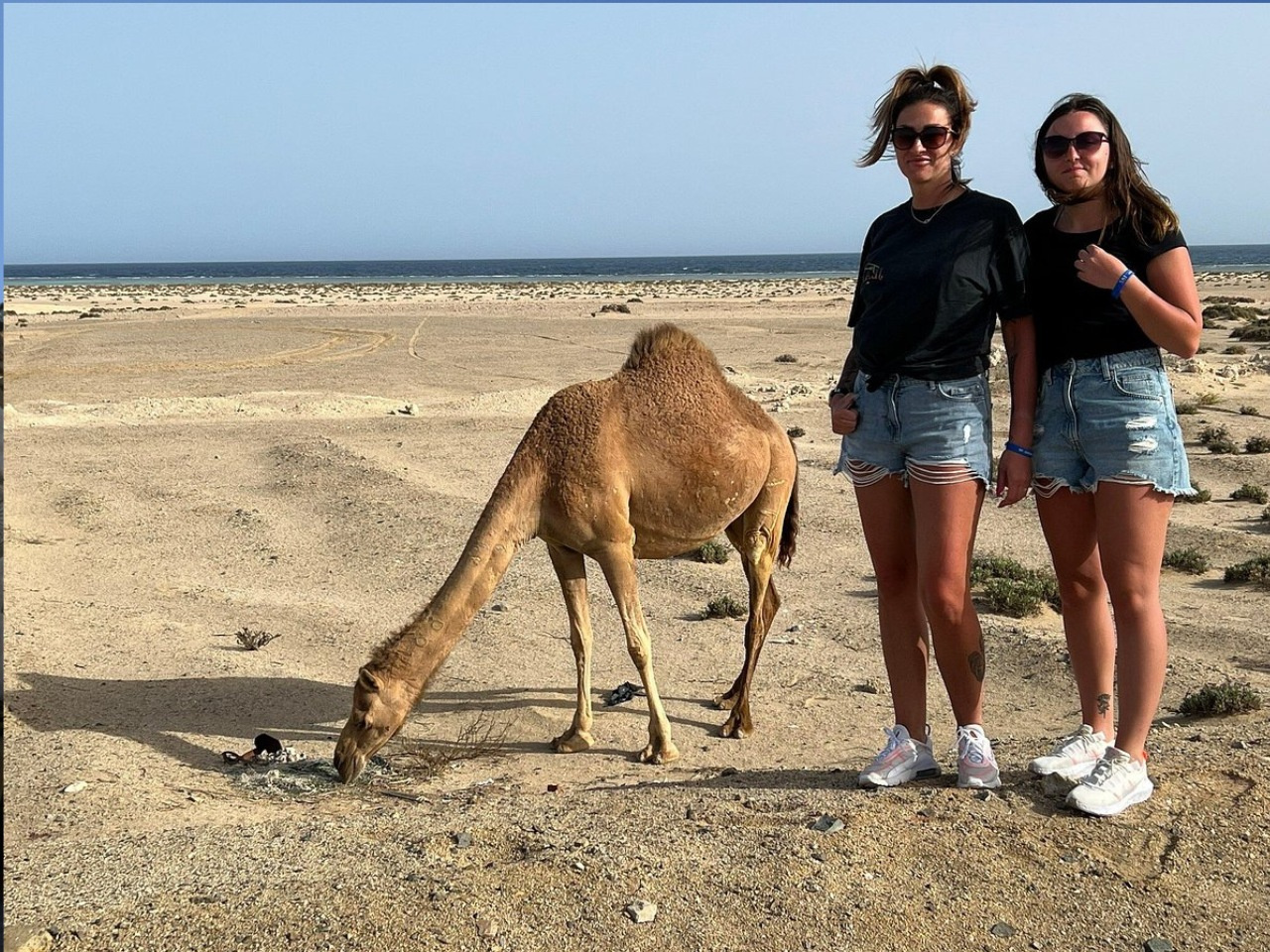 Privétrip naar wadi El Gemal vanuit El Quseir